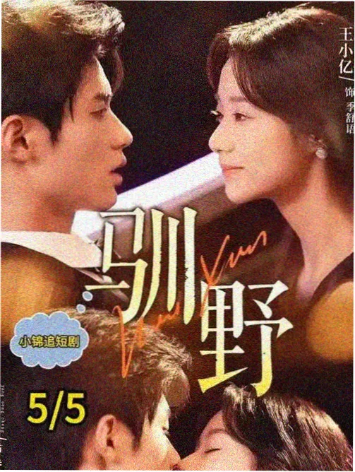 沉默的证人 悬疑双男主